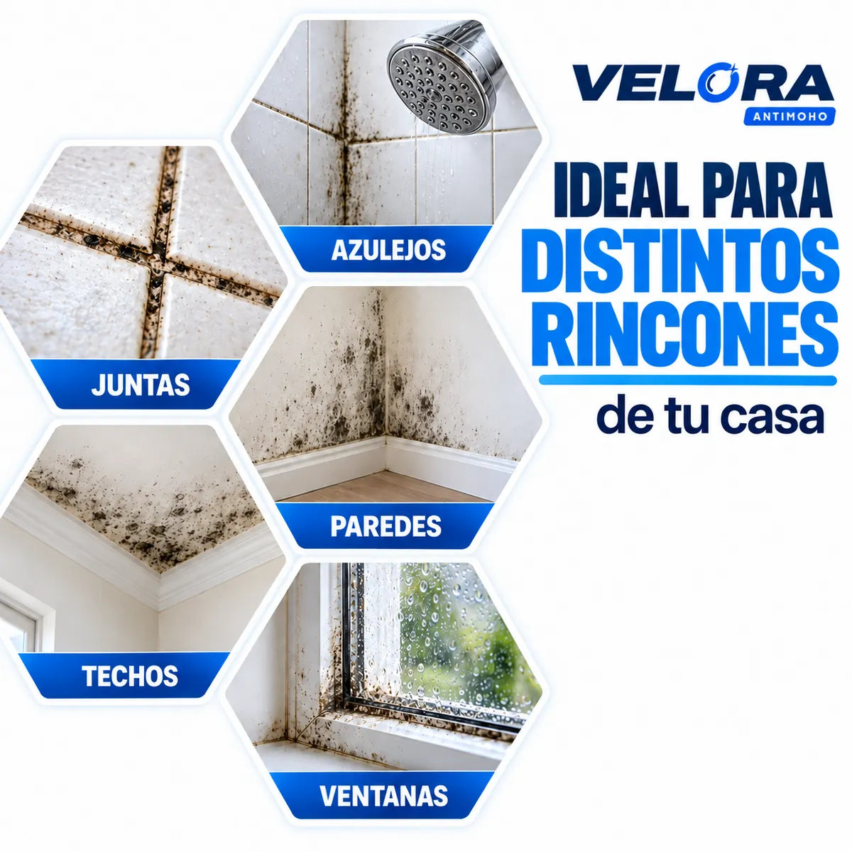 VELORA™ Antimoho | Eliminá las manchas negras de moho